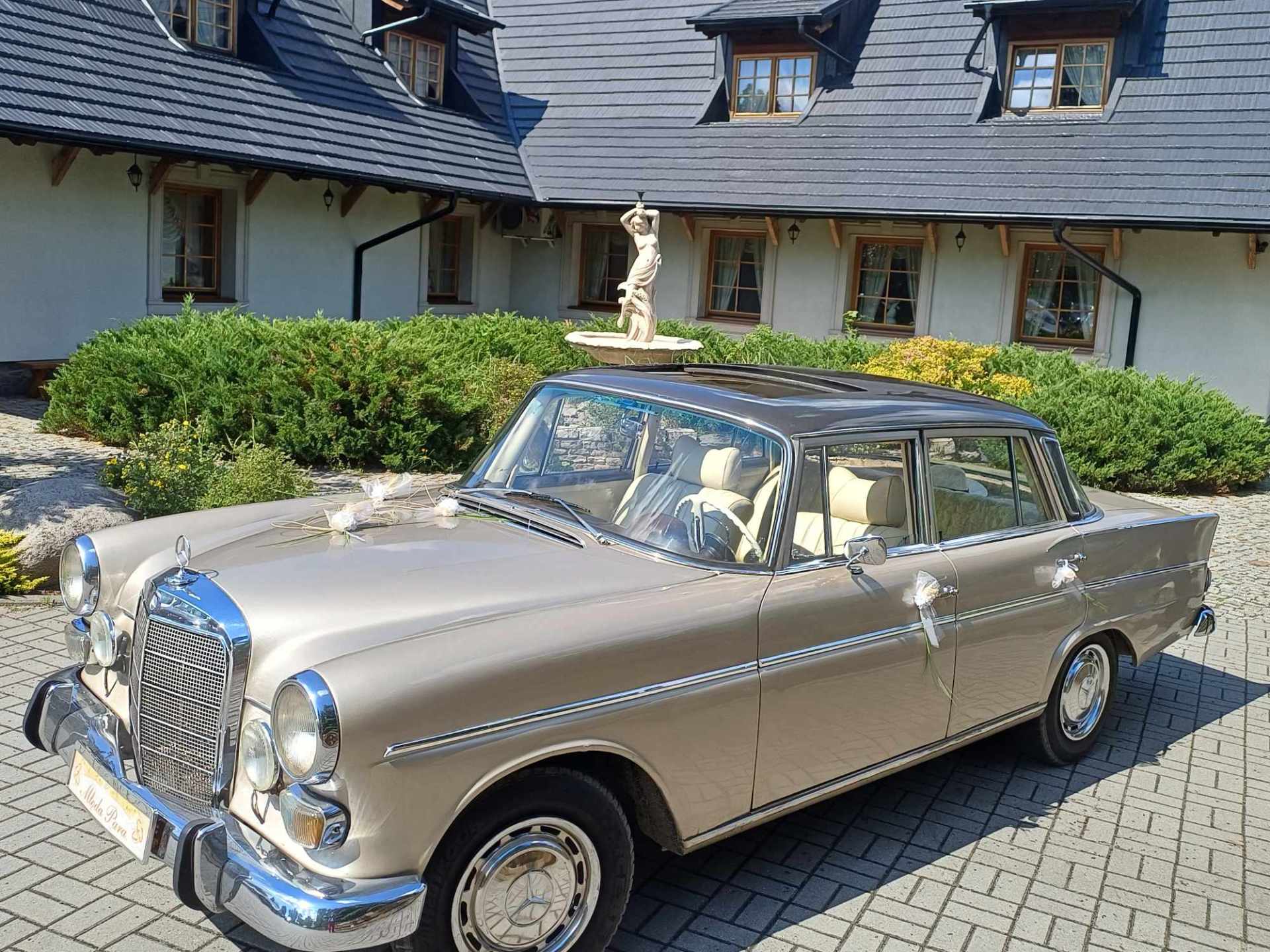 Mercedesy W110 skrzydlak i CLS C219 | Auto do ślubu Łódź, łódzkie - cover