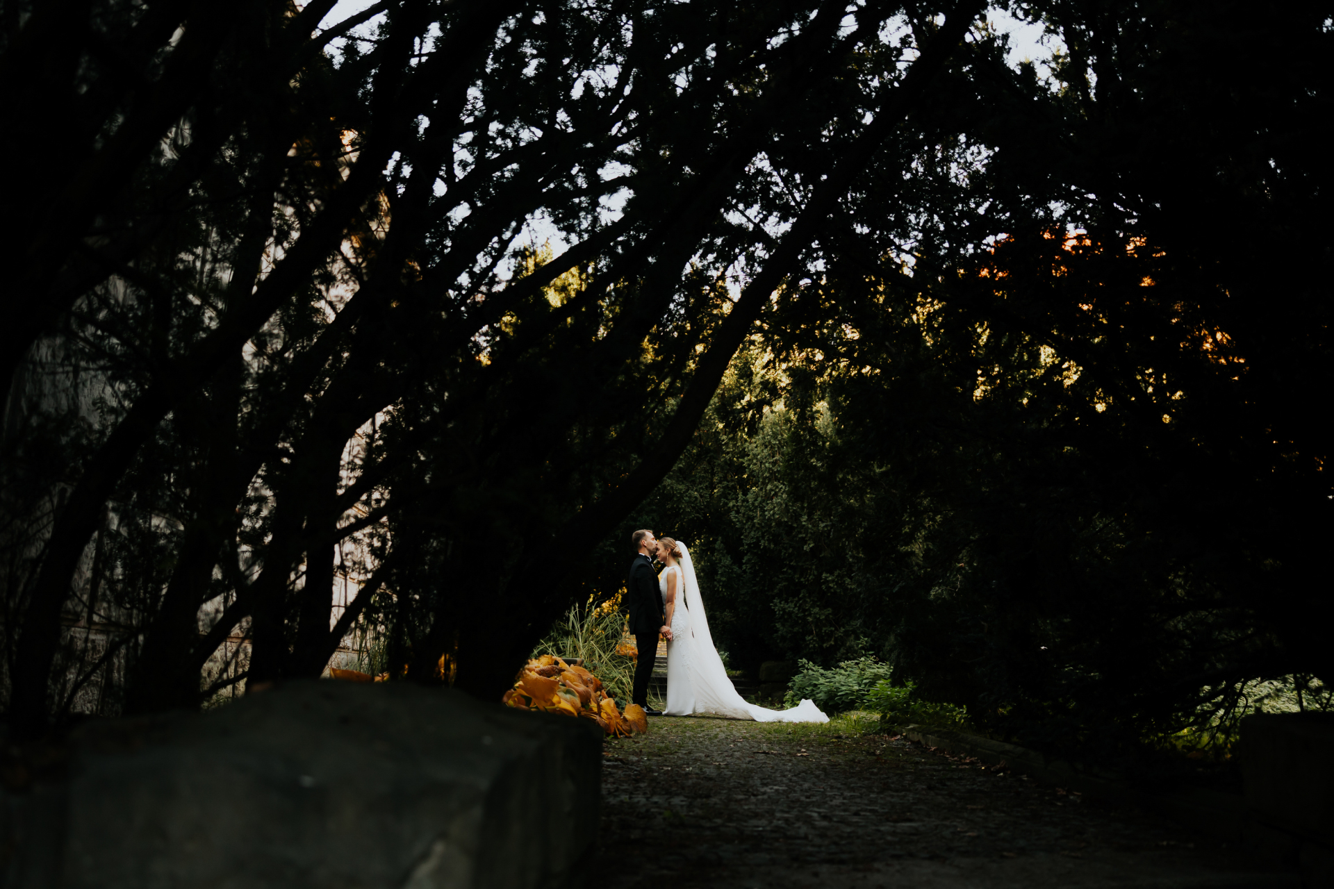 Maciej Grzegory Fotografia | Fotograf ślubny Warszawa, mazowieckie - cover