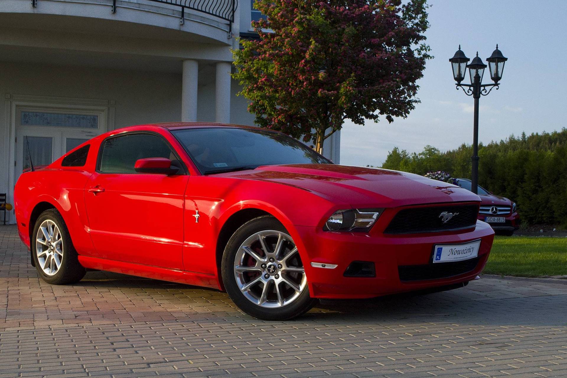 Czerwony Ford Mustang | Auto do ślubu Gdańsk, pomorskie - cover
