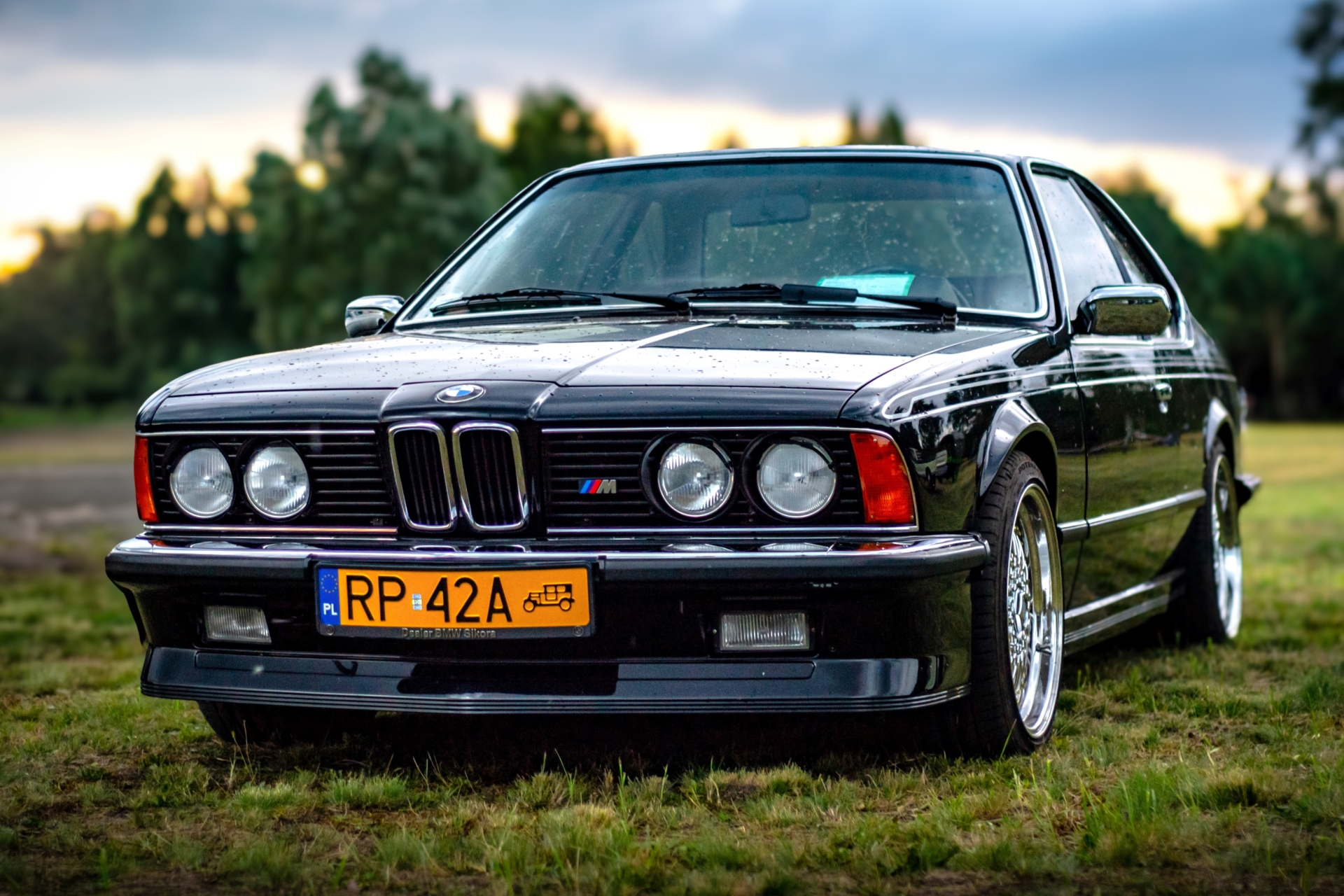 Citroen DS, BMW E24, BMW E21 | Auto do ślubu Przemyśl, podkarpackie - cover
