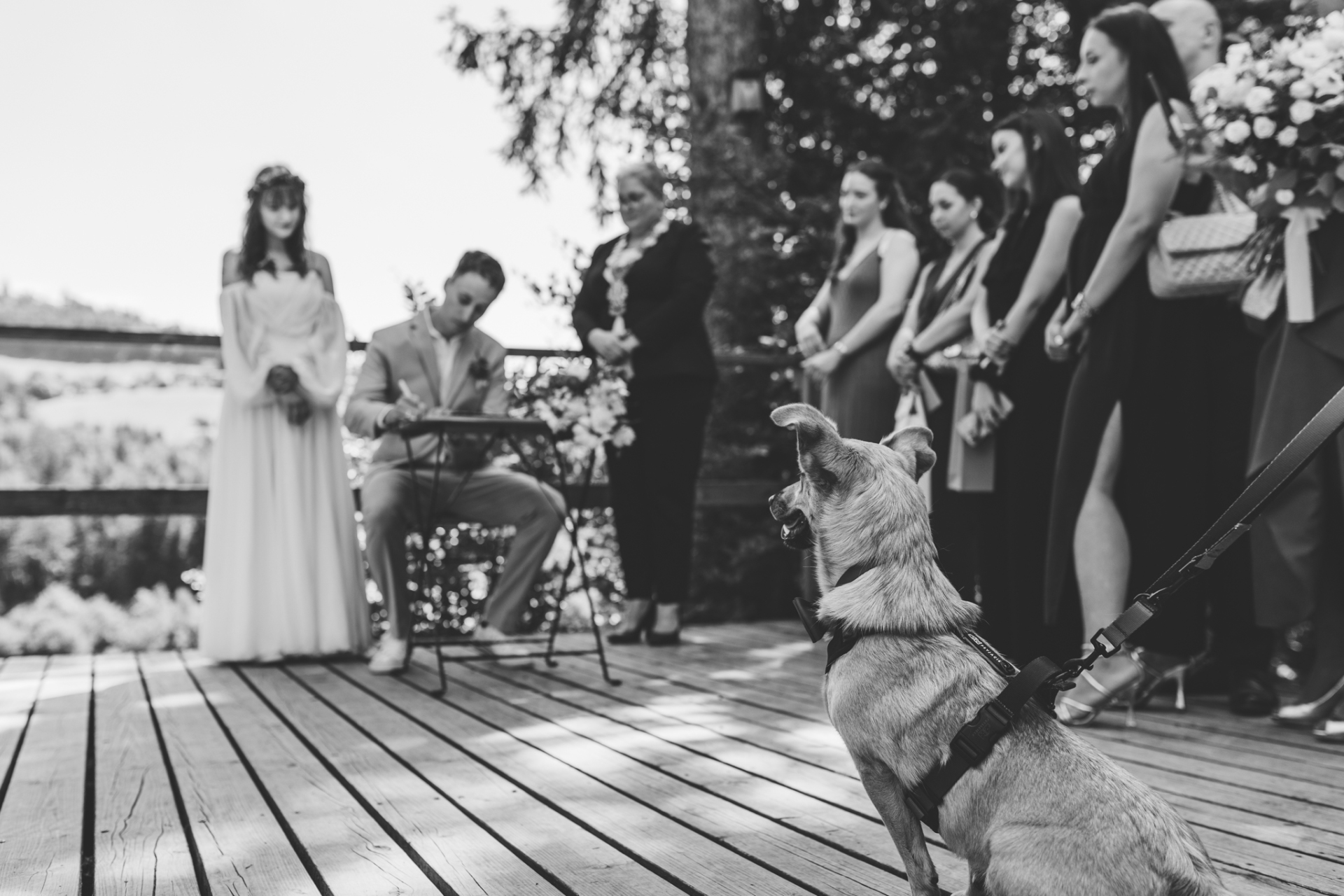 Katarzyna Marona Fotografia | Fotograf ślubny Kraków, małopolskie - cover 1