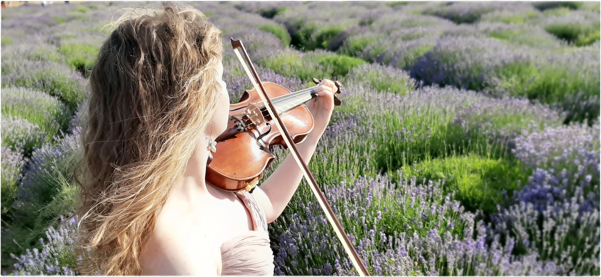 Oprawa ślubów Re Violin | Oprawa muzyczna ślubu Września, wielkopolskie - cover
