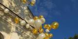 balony helowe i dekoracje sal KREACJE weselne, Zamość - zdjęcie 3