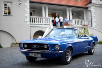 Ford Mustang 1967r V8 cabrio | Auto do ślubu Wilkołaz Drugi, lubelskie