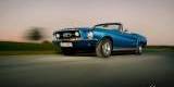 Ford Mustang 1967r V8 cabrio | Auto do ślubu Wilkołaz Drugi, lubelskie - zdjęcie 2