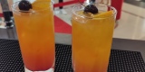Black Drink | Barman na wesele Radzyń Podlaski, lubelskie - zdjęcie 3