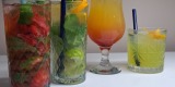 Tropical Dream Bar | Barman na wesele Wysoka, wielkopolskie - zdjęcie 6
