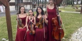 Bordo String Quartet | Oprawa muzyczna ślubu Katowice, śląskie - zdjęcie 2
