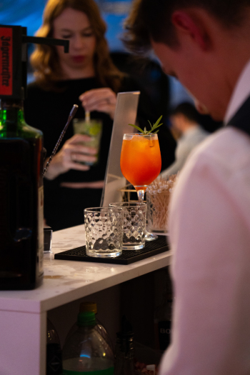 Shake It Bar - Mobilny bar | Barman na wesele Bolesławiec, dolnośląskie