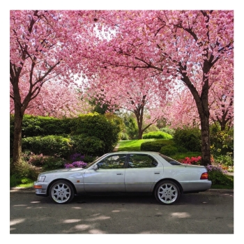Luksusowy Lexus LS 400 | Auto do ślubu Katowice, śląskie