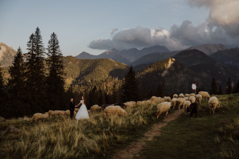 FVK Studio Video&Foto | Kamerzysta na wesele Poznań, wielkopolskie