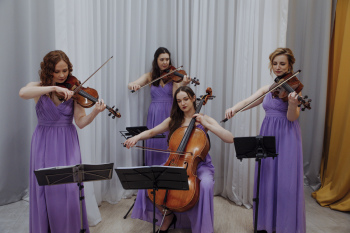 Violin Sound - Oprawa ślubu | Oprawa muzyczna ślubu Warszawa, mazowieckie
