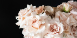 About Flowers Dekoracje | Dekoracje ślubne Strzyżów, podkarpackie - zdjęcie 5