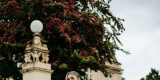 Wedding Projekt Anna Machcińska | Salon sukien ślubnych Toruń, kujawsko-pomorskie - zdjęcie 5