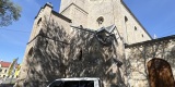 Biała Honda | Auto do ślubu Będzin, śląskie - zdjęcie 2