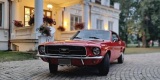 Klasyczny Ford Mustang z 1967 roku | Auto do ślubu Warszawa, mazowieckie - zdjęcie 2