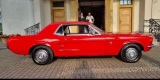 Klasyczny Ford Mustang z 1967 roku | Auto do ślubu Warszawa, mazowieckie - zdjęcie 3