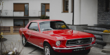 Ford mustang z 1968 roku | Auto do ślubu Koleczkowo, pomorskie - zdjęcie 6
