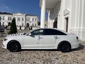 MUSTANG x2 /Audi A6/Q7/ Mercedes ML | Auto do ślubu Lublin, lubelskie