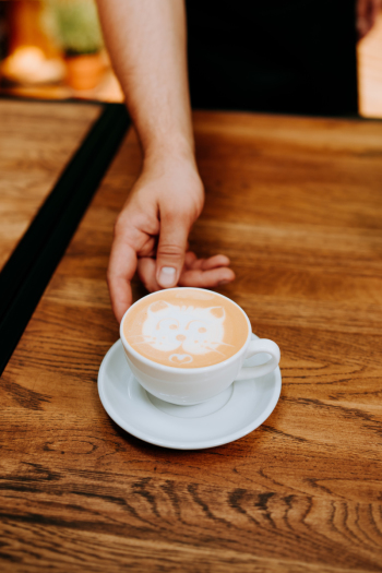Serio. coffee spot | Barista na wesele Warszawa, mazowieckie