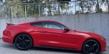 MUSTANG x2 /Audi A6/Q7/ Mercedes ML | Auto do ślubu Lublin, lubelskie - zdjęcie 6