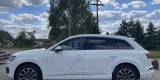 MUSTANG x2 /Audi A6/Q7/ Mercedes ML | Auto do ślubu Lublin, lubelskie - zdjęcie 2