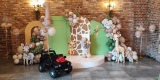DK Ballon | Balony, bańki mydlane Opole, opolskie - zdjęcie 5