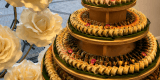 Catering sushi - TastyTravels | Catering weselny Żywiec, śląskie - zdjęcie 5