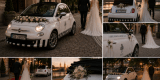 Kroczek - Lodziarnia Fiat 500 | Unikatowe atrakcje Bydgoszcz, kujawsko-pomorskie - zdjęcie 3