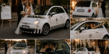 Kroczek - Lodziarnia Fiat 500 | Unikatowe atrakcje Bydgoszcz, kujawsko-pomorskie - zdjęcie 5