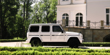 84rent - wynajem samochodów | Auto do ślubu Jedlicze, podkarpackie - zdjęcie 5