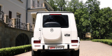 84rent - wynajem samochodów | Auto do ślubu Jedlicze, podkarpackie - zdjęcie 6