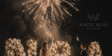 White Moss Studio | Wedding planner Gdańsk, pomorskie - zdjęcie 4