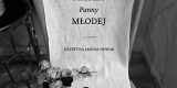 White Moss Studio | Wedding planner Gdańsk, pomorskie - zdjęcie 5