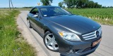 Mercedes CL550 4Matic | Auto do ślubu Puławy, lubelskie - zdjęcie 4