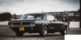 Klasyczny Mustang do ślubu, Warszawa - zdjęcie 3