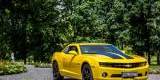 Żółte Camaro Chevrolet Transformers | Auto do ślubu Warszawa, mazowieckie - zdjęcie 2