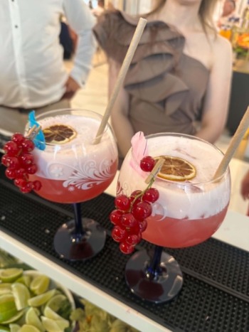 BarMania mobilne usługi barmańskie | Barman na wesele Radom, mazowieckie