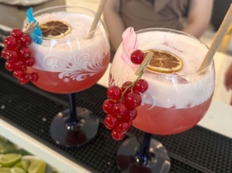 BarMania mobilne usługi barmańskie | Barman na wesele Radom, mazowieckie
