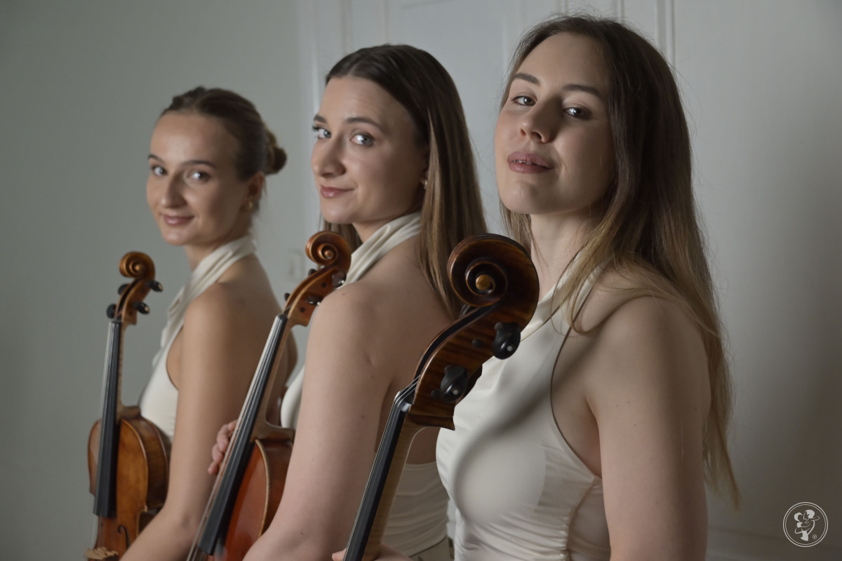 MIZUNA trio | Oprawa muzyczna ślubu Gdańsk, pomorskie - zdjęcie 1