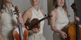 MIZUNA trio | Oprawa muzyczna ślubu Gdańsk, pomorskie - zdjęcie 4