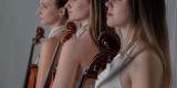 MIZUNA trio | Oprawa muzyczna ślubu Gdańsk, pomorskie - zdjęcie 6
