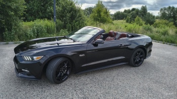 Mustang GT Cabrio | Auto do ślubu Olsztyn, warmińsko-mazurskie