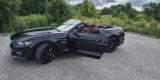 Mustang GT Cabrio | Auto do ślubu Olsztyn, warmińsko-mazurskie - zdjęcie 3