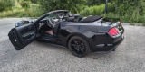 Mustang GT Cabrio | Auto do ślubu Olsztyn, warmińsko-mazurskie - zdjęcie 4