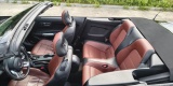 Mustang GT Cabrio | Auto do ślubu Olsztyn, warmińsko-mazurskie - zdjęcie 5