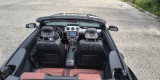 Mustang GT Cabrio | Auto do ślubu Olsztyn, warmińsko-mazurskie - zdjęcie 6