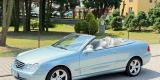 Lincoln Continental / Mercedes CLK | Auto do ślubu Rybnik, śląskie - zdjęcie 6