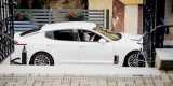 KIA Stinger | Auto do ślubu Opole, opolskie - zdjęcie 4