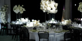 Plan My Wedding - konsultant ślubny | Wedding planner Warszawa, mazowieckie - zdjęcie 3